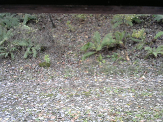 長野県菅平高原 ゆたか山荘 南側 2025/11/02 12:15