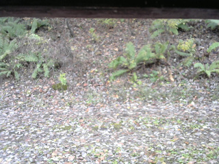 長野県菅平高原 ゆたか山荘 南側 2025/11/02 12:45