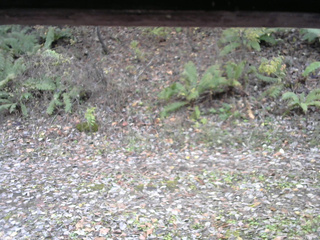 長野県菅平高原 ゆたか山荘 南側 2025/11/02 13:00