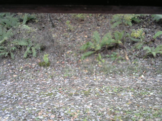 長野県菅平高原 ゆたか山荘 南側 2025/11/02 13:15