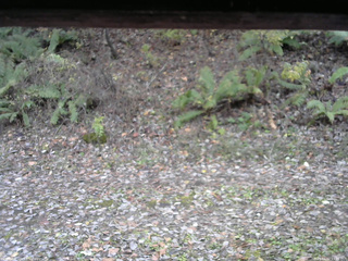 長野県菅平高原 ゆたか山荘 南側 2025/11/02 13:30