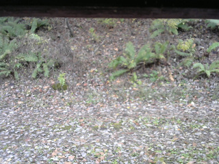 長野県菅平高原 ゆたか山荘 南側 2025/11/02 14:15