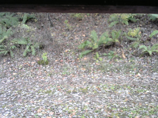 長野県菅平高原 ゆたか山荘 南側 2025/11/02 14:30