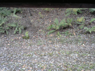 長野県菅平高原 ゆたか山荘 南側 2025/11/02 14:45