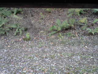 長野県菅平高原 ゆたか山荘 南側 2025/11/02 15:15