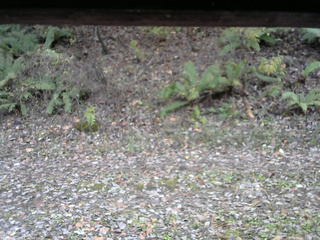 長野県菅平高原 ゆたか山荘 南側 2025/11/02 15:30