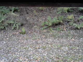 長野県菅平高原 ゆたか山荘 南側 2025/11/02 15:45