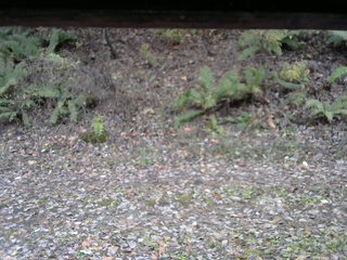 長野県菅平高原 ゆたか山荘 南側 2025/11/02 16:00