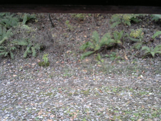 長野県菅平高原 ゆたか山荘 南側 2025/11/02 16:15