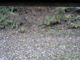 長野県菅平高原 ゆたか山荘 南側 2025/11/02 16:30