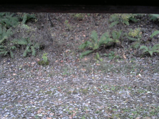 長野県菅平高原 ゆたか山荘 南側 2025/11/02 16:45