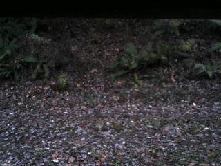 長野県菅平高原 ゆたか山荘 南側 2025/11/02 17:00