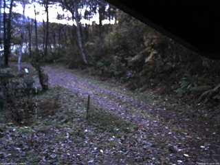 長野県菅平高原 ゆたか山荘 東側(坂下) 2025/11/02 06:00