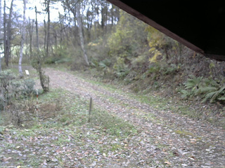 長野県菅平高原 ゆたか山荘 東側(坂下) 2025/11/02 12:15