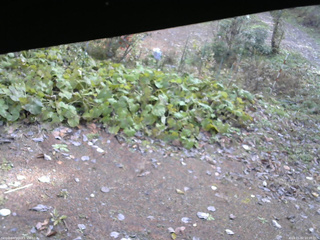 長野県菅平高原 ゆたか山荘 駐車場 2025/11/02 10:00