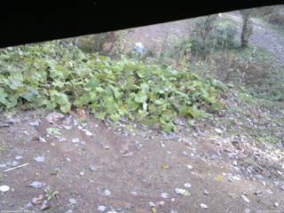 長野県菅平高原 ゆたか山荘 駐車場 2025/11/02 10:45