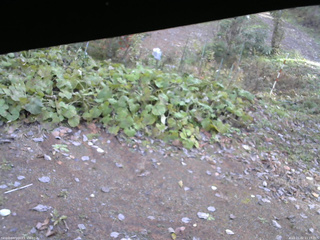 長野県菅平高原 ゆたか山荘 駐車場 2025/11/02 11:15