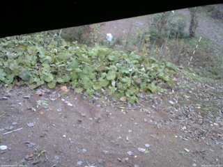 長野県菅平高原 ゆたか山荘 駐車場 2025/11/02 15:15