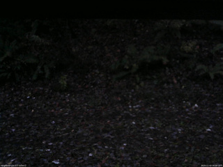 長野県菅平高原 ゆたか山荘 南側 2025/11/03 06:00