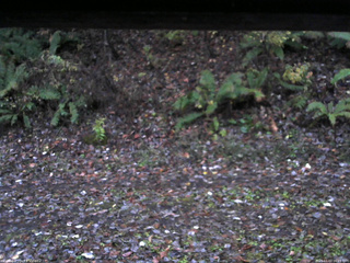 長野県菅平高原 ゆたか山荘 南側 2025/11/03 06:15