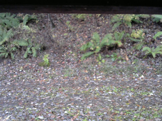 長野県菅平高原 ゆたか山荘 南側 2025/11/03 06:30