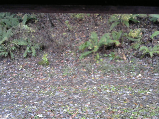 長野県菅平高原 ゆたか山荘 南側 2025/11/03 06:45