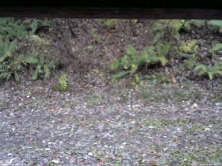 長野県菅平高原 ゆたか山荘 南側 2025/11/03 07:00