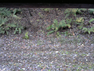 長野県菅平高原 ゆたか山荘 南側 2025/11/03 07:15