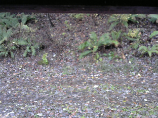 長野県菅平高原 ゆたか山荘 南側 2025/11/03 07:30