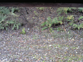 長野県菅平高原 ゆたか山荘 南側 2025/11/03 07:45