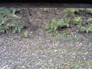 長野県菅平高原 ゆたか山荘 南側 2025/11/03 08:00