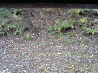 長野県菅平高原 ゆたか山荘 南側 2025/11/03 08:15