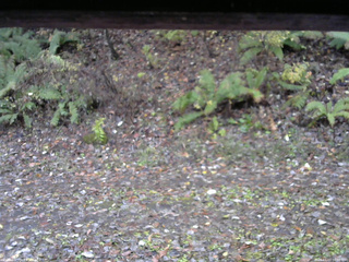 長野県菅平高原 ゆたか山荘 南側 2025/11/03 08:30