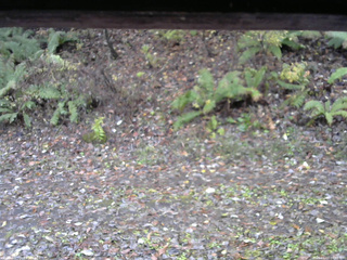 長野県菅平高原 ゆたか山荘 南側 2025/11/03 08:45