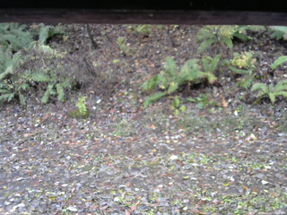 長野県菅平高原 ゆたか山荘 南側 2025/11/03 09:00