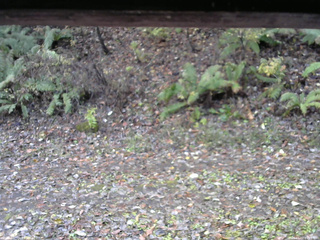 長野県菅平高原 ゆたか山荘 南側 2025/11/03 09:15