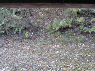 長野県菅平高原 ゆたか山荘 南側 2025/11/03 09:30