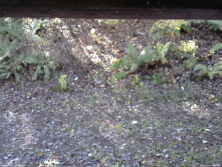 長野県菅平高原 ゆたか山荘 南側 2025/11/03 09:45