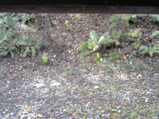 長野県菅平高原 ゆたか山荘 南側 2025/11/03 10:00