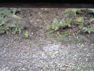 長野県菅平高原 ゆたか山荘 南側 2025/11/03 10:15