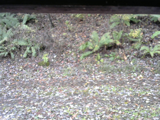 長野県菅平高原 ゆたか山荘 南側 2025/11/03 10:30