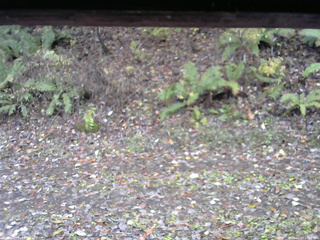 長野県菅平高原 ゆたか山荘 南側 2025/11/03 10:45