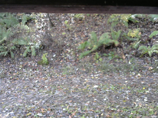 長野県菅平高原 ゆたか山荘 南側 2025/11/03 11:00