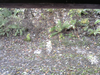 長野県菅平高原 ゆたか山荘 南側 2025/11/03 11:15