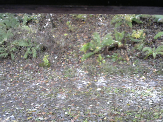 長野県菅平高原 ゆたか山荘 南側 2025/11/03 11:30