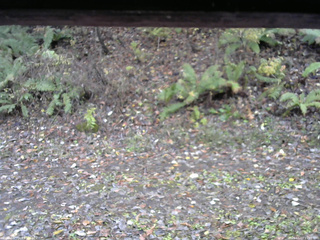 長野県菅平高原 ゆたか山荘 南側 2025/11/03 11:45