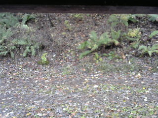 長野県菅平高原 ゆたか山荘 南側 2025/11/03 12:00