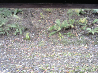 長野県菅平高原 ゆたか山荘 南側 2025/11/03 12:15