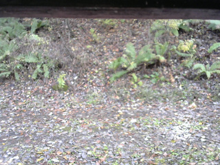 長野県菅平高原 ゆたか山荘 南側 2025/11/03 12:30