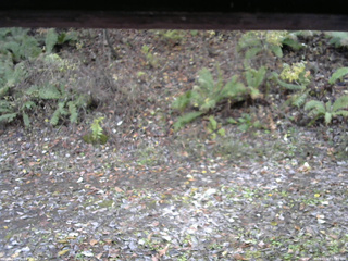 長野県菅平高原 ゆたか山荘 南側 2025/11/03 12:45